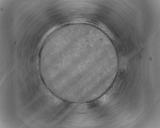 X0000071960856200607141432