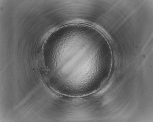 X0000071960857200607141433