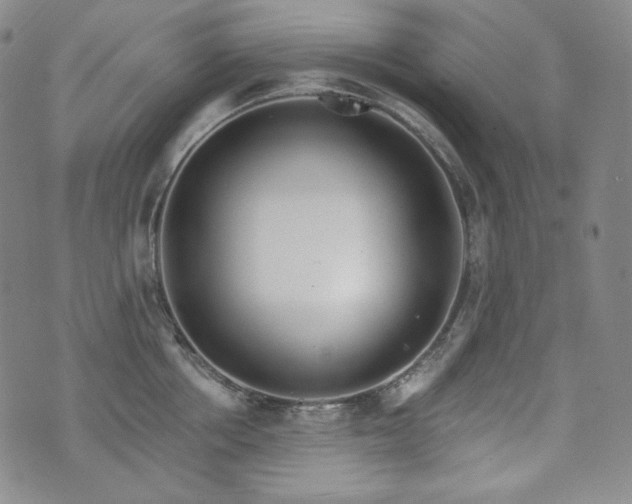 X0000071960858200607141433