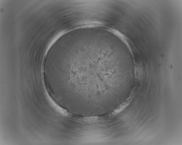 X0000071960859200607141433