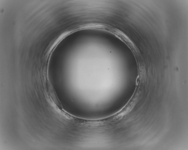 X0000071960860200607141433