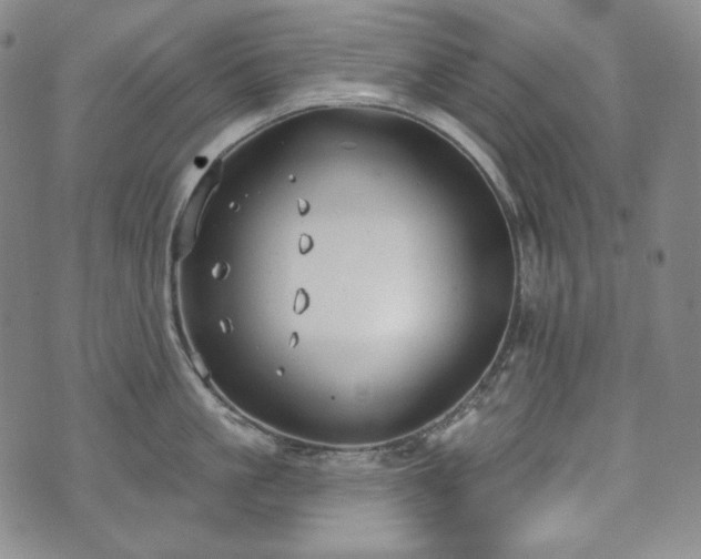 X0000071960861200607141433