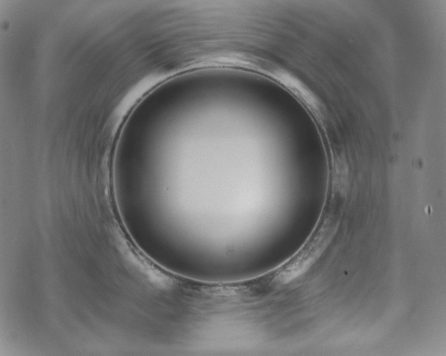 X0000071960862200607141433