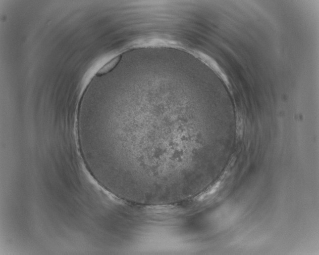 X0000071960863200607141433