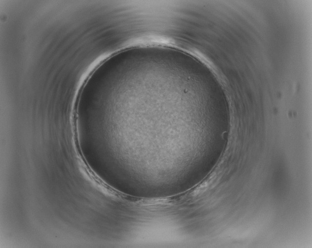 X0000071960864200607141433