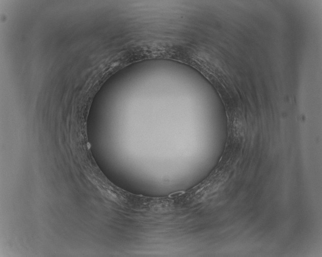 X0000071960865200607141432