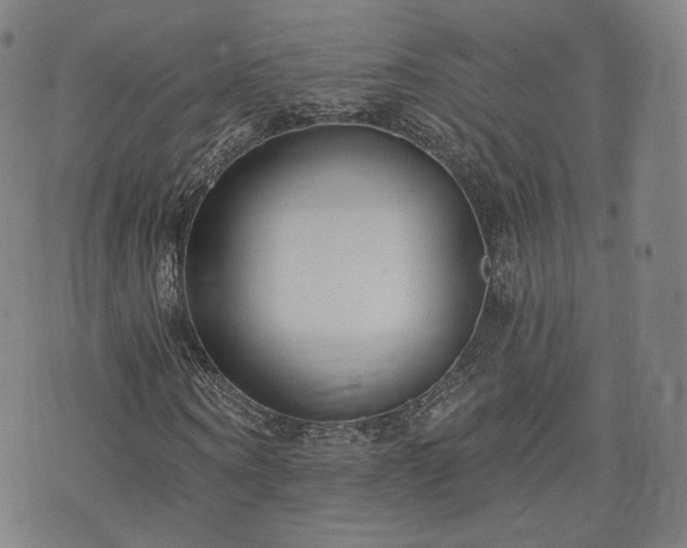 X0000071960866200607141432