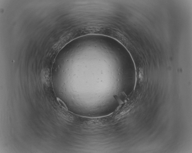 X0000071960867200607141432