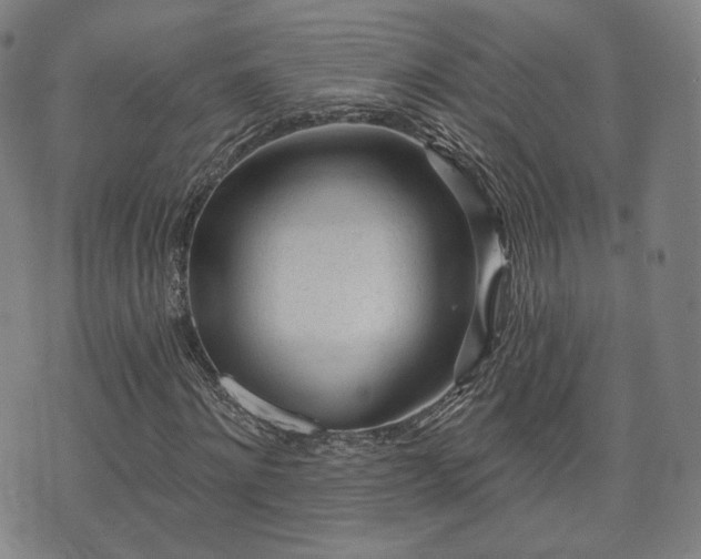 X0000071960868200607141432