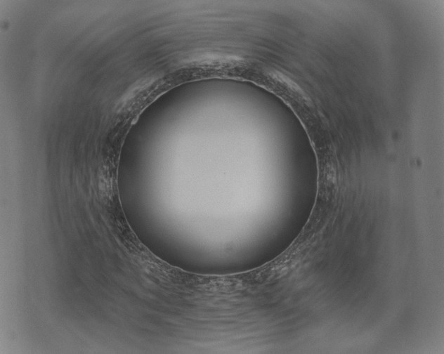 X0000071960869200607141432