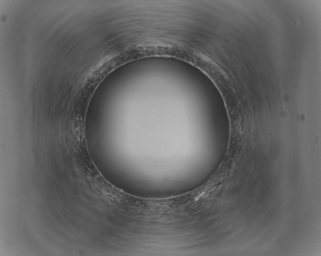 X0000071960870200607141432