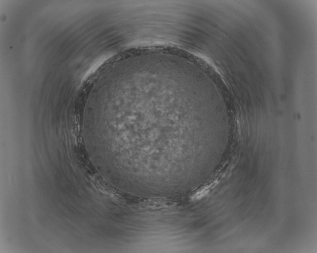 X0000071960871200607141432