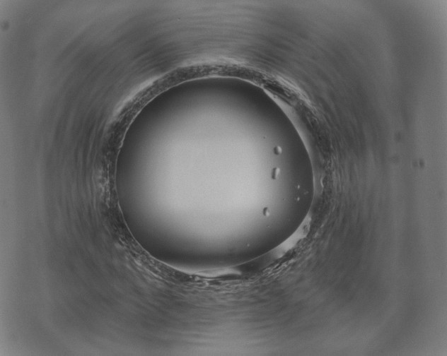 X0000071960872200607141432