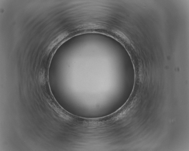 X0000071960873200607141432