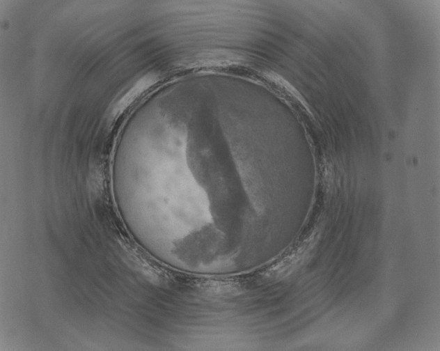 X0000071960874200607141432