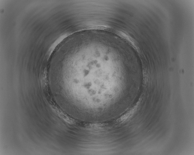 X0000071960875200607141432