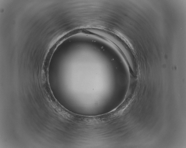 X0000071960876200607141432