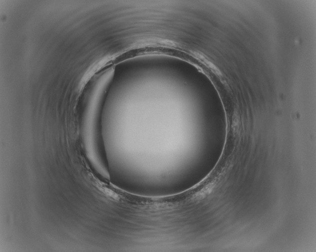 X0000071960877200607141432