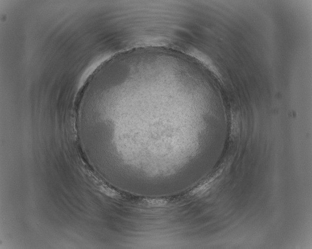 X0000071960878200607141432