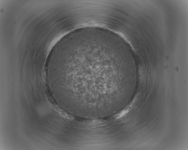 X0000071960879200607141432