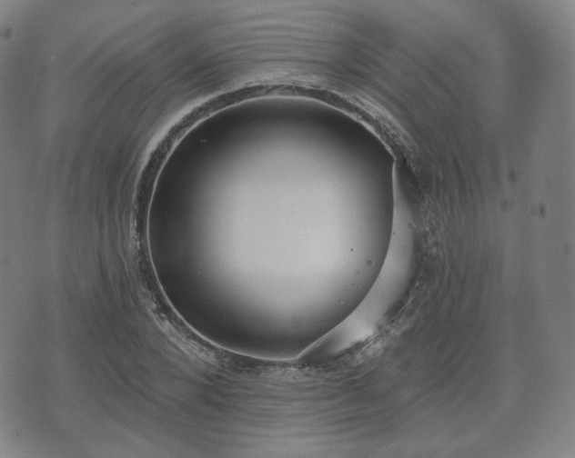 X0000071960880200607141432