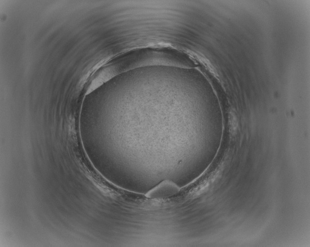 X0000071960881200607141432