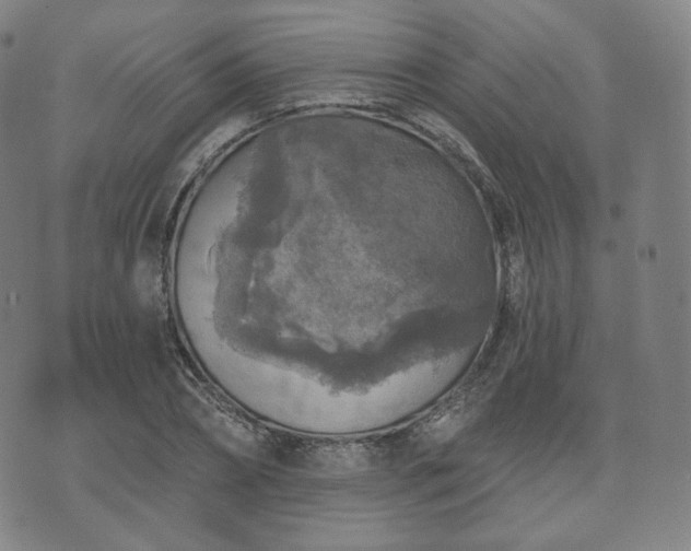 X0000071960882200607141432