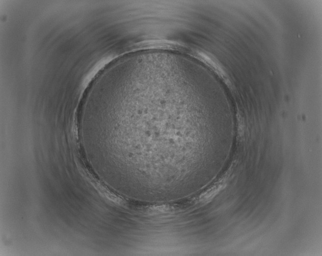 X0000071960883200607141432