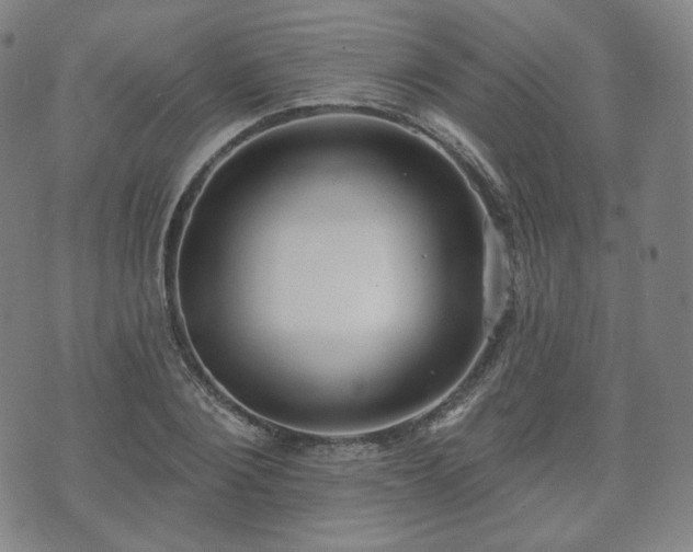 X0000071960884200607141432