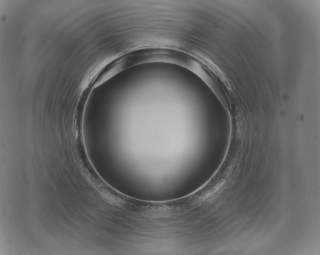 X0000071960885200607141432