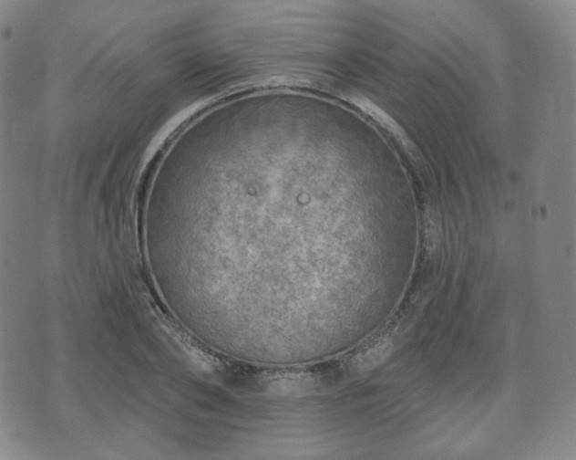 X0000071960886200607141431