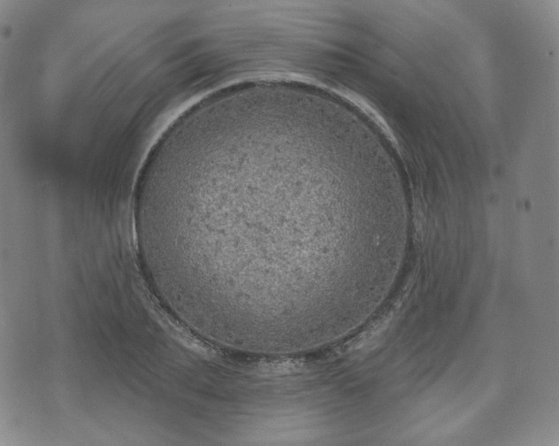 X0000071960887200607141431