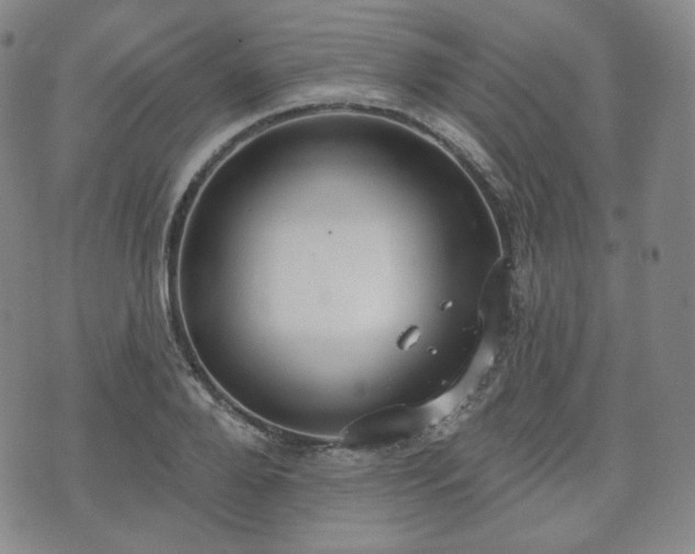 X0000071960888200607141431