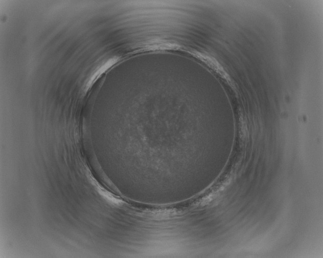 X0000071960889200607141431