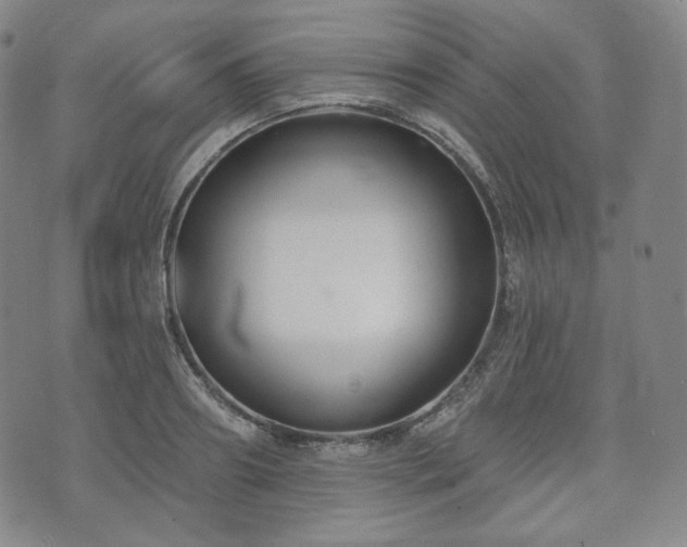 X0000071960890200607141431