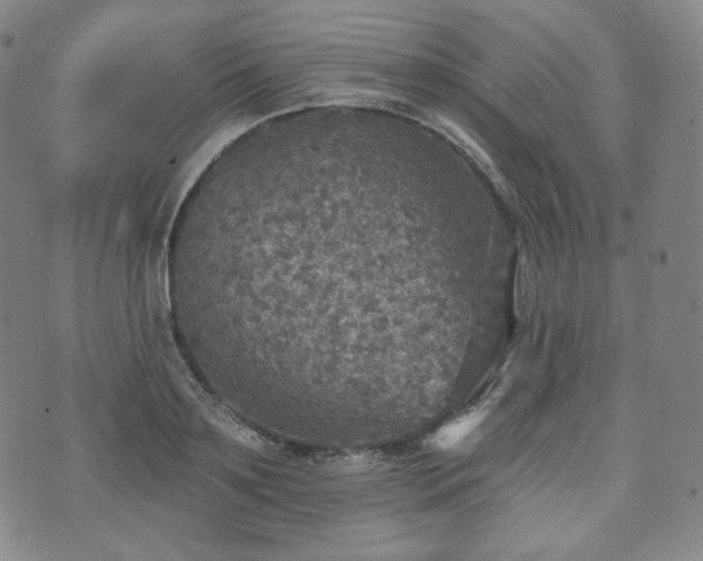 X0000071960891200607141431