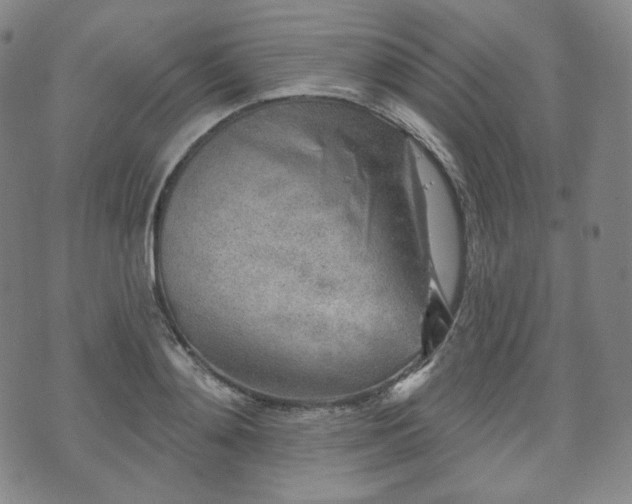 X0000071960892200607141431