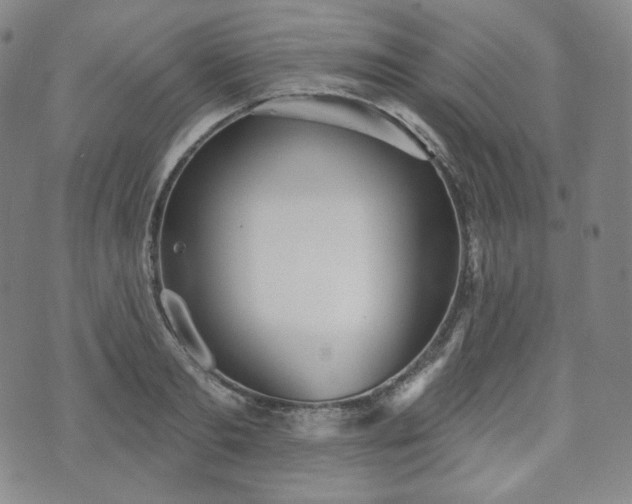 X0000071960893200607141431