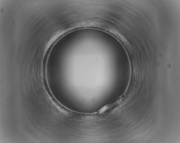 X0000071960894200607141431