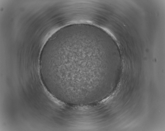 X0000071960895200607141431