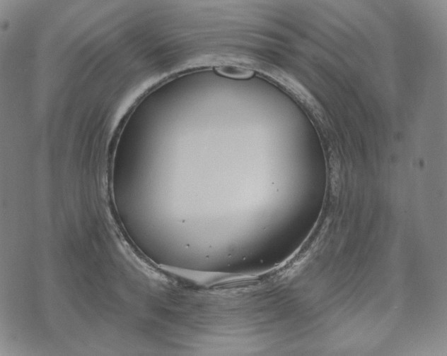 X0000071960896200607141431