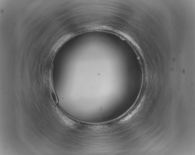 X0000071960897200607141431