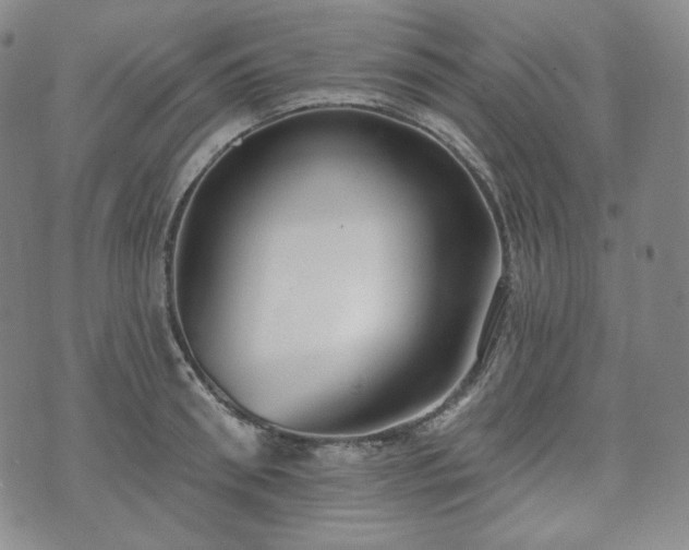 X0000071960898200607141431