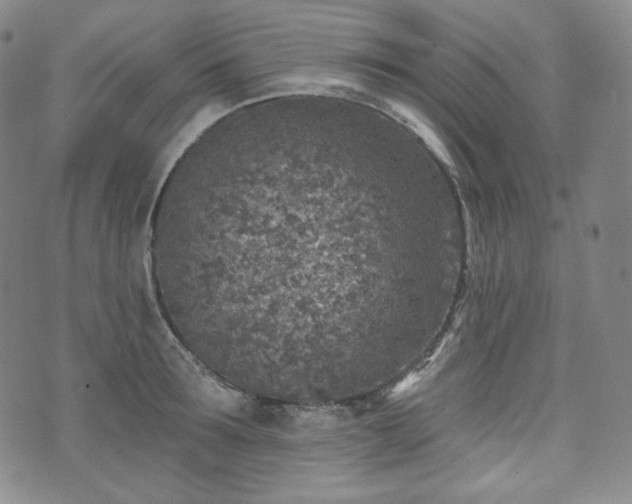 X0000071960899200607141431