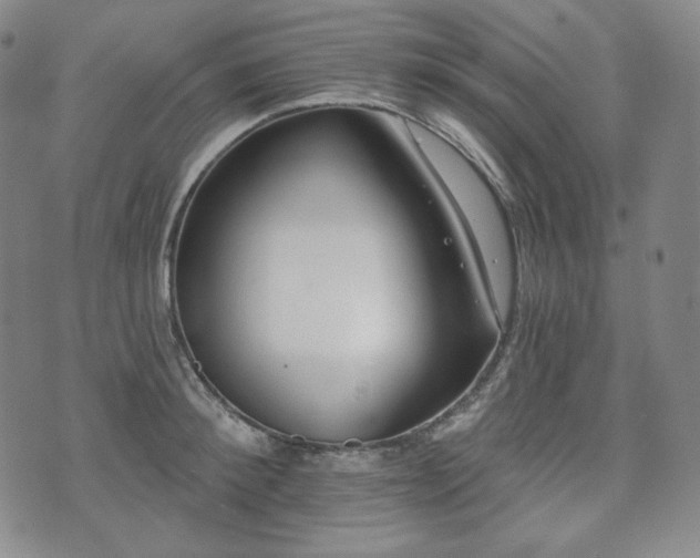 X0000071960900200607141431