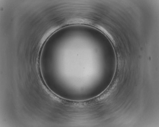 X0000071960901200607141431