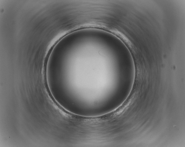 X0000071960902200607141431