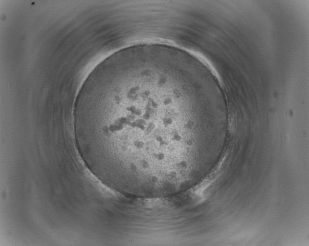 X0000071960903200607141431