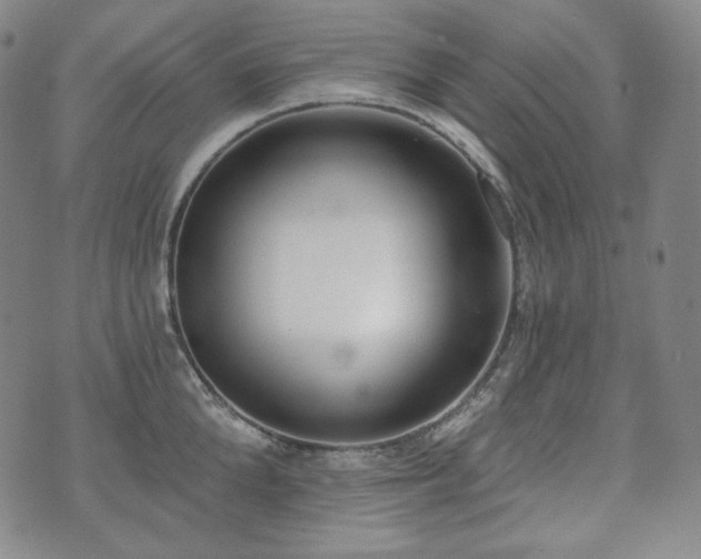 X0000071960904200607141431