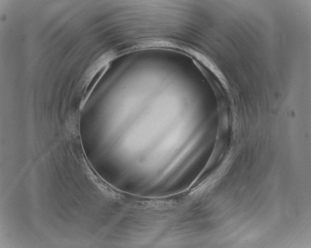 X0000071960905200607141431